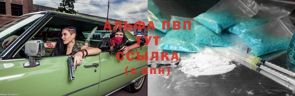 тгк Касимов
