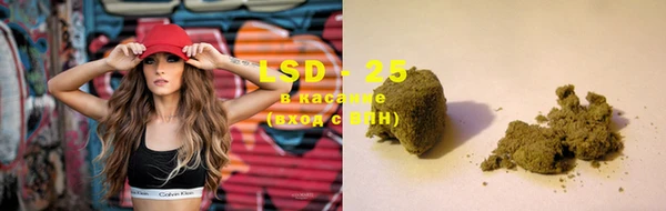 шишки Кодинск