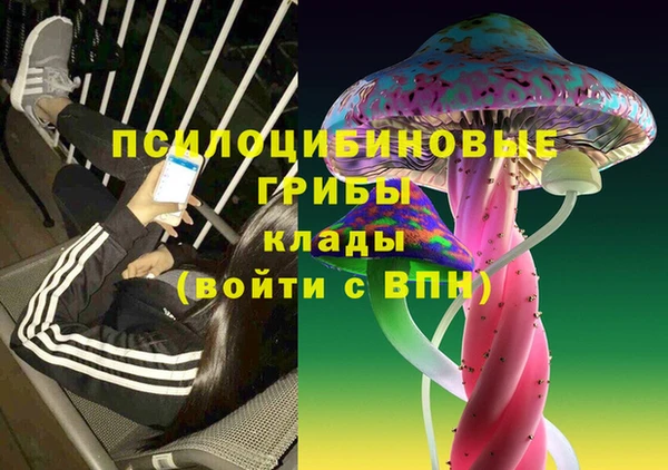 ГАЛЛЮЦИНОГЕННЫЕ ГРИБЫ Карпинск