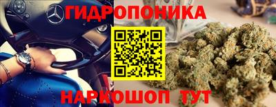 дживик Кандалакша