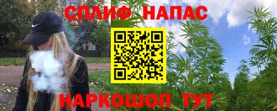 дживик Кандалакша