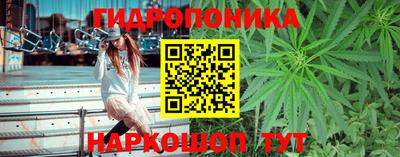 СК Канаш
