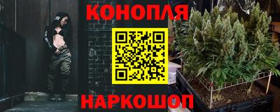 СК Канаш