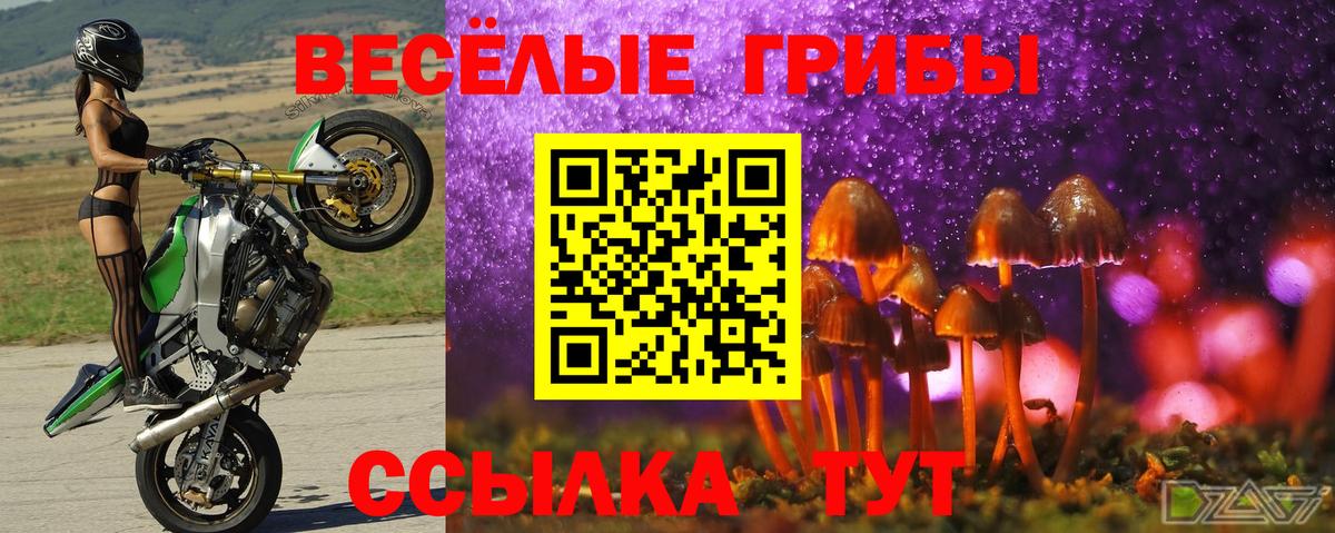 Невинномысск  Псилоцибиновые грибы GOLDEN TEACHER  Вход с VPN  что такое наркотик  Галлюциногенные грибы ЛСД 