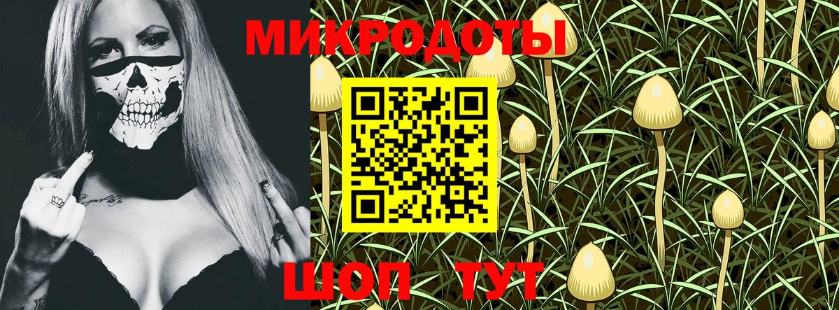 Псилоцибиновые грибы Psilocybine cubensis Невинномысск